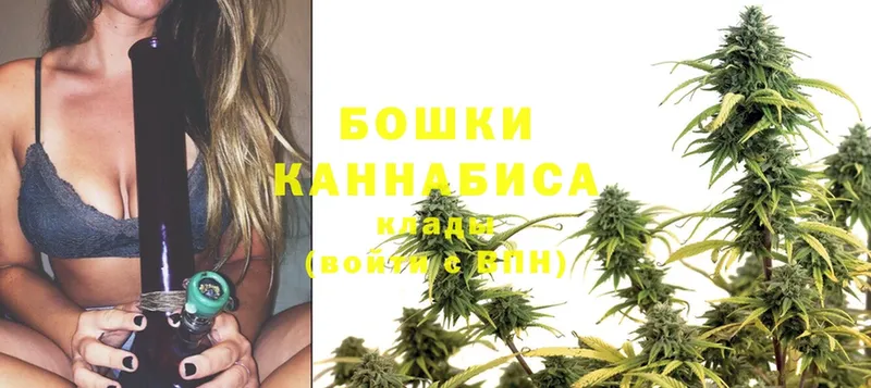 Конопля OG Kush  где продают   Апшеронск 